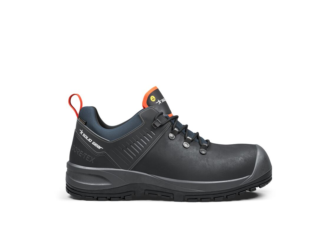SG73104 Skyddssko Ion GTX Low